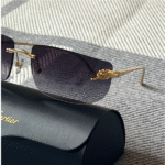Cartier 2025 Mans Sunglass