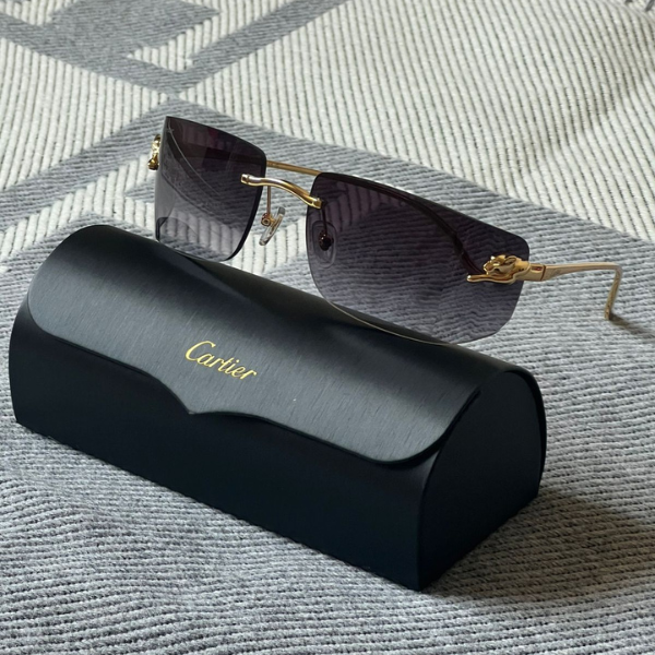 Cartier 2025 Mans Sunglass