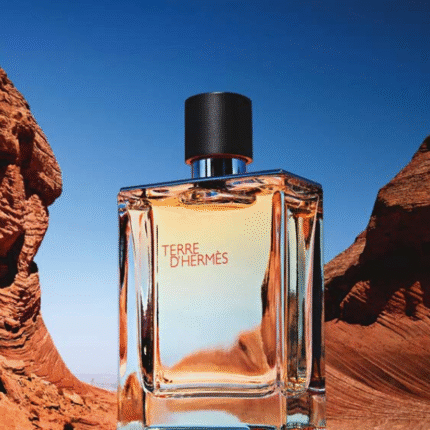 Terre d'Hermès Hermès for men 100ml