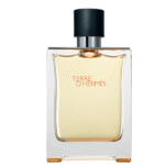 Terre d'Hermès Hermès for men 100ml