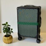 Goyard Travel Suitcase Luggage Green