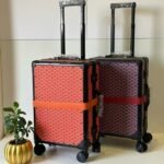 Goyard Travel Suitcase Luggage Orange - Image 2