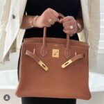 Hermes Birkin To Go Gold Hardware Hand Bag Brown - Image 5