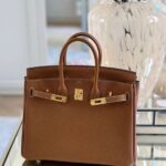 Hermes Birkin To Go Gold Hardware Hand Bag Brown