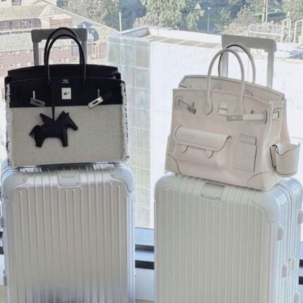 Hermes Birkin Cargo To Go Palladium Hardware Hand Bag White